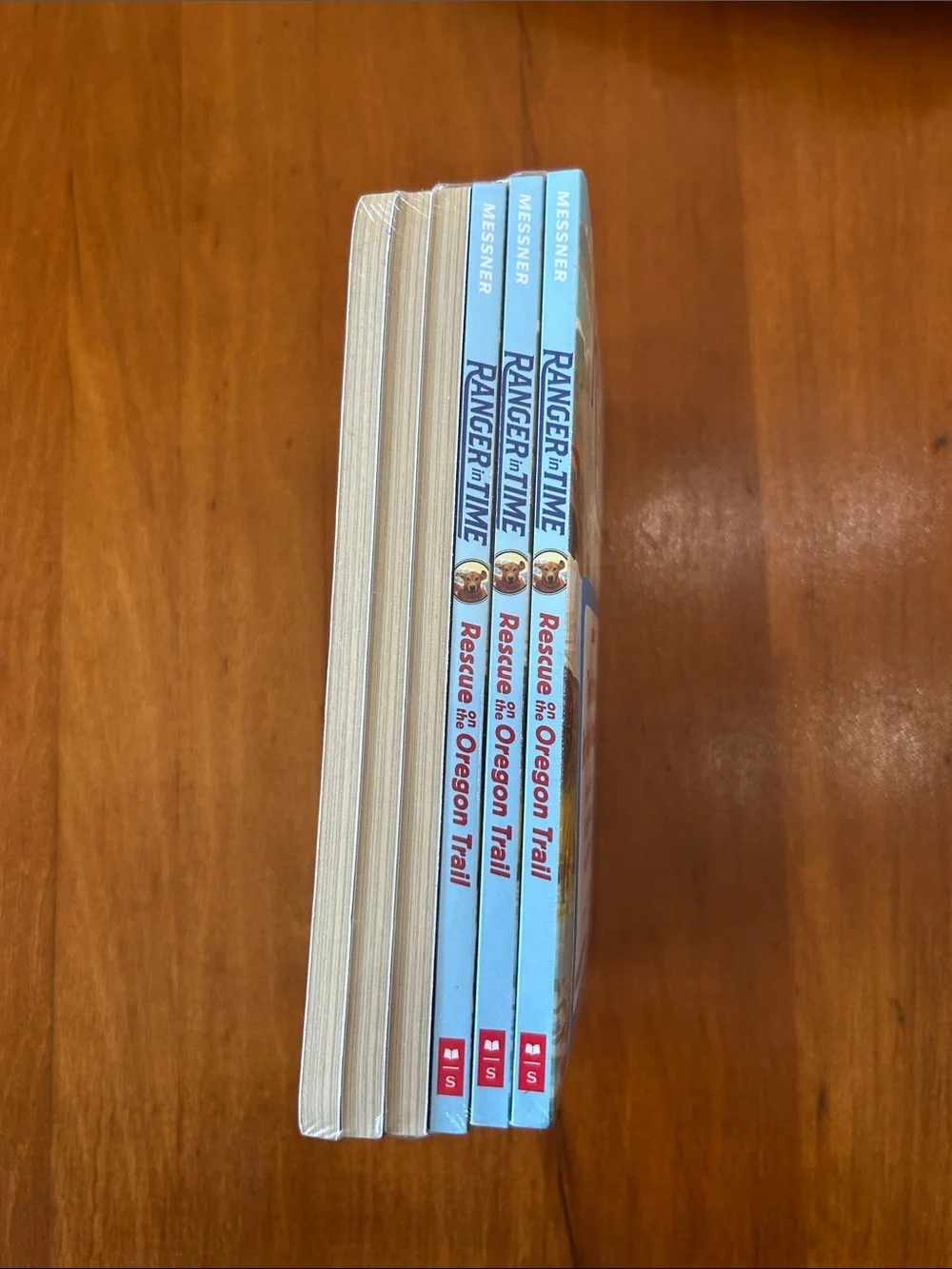 NEW Set of 6 Ranger in Time Books
